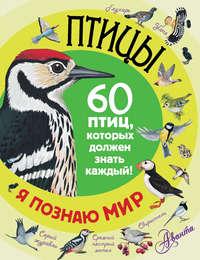 Птицы. 60 птиц, которых должен знать каждый, аудиокнига . ISDN19403468