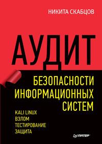 Аудит безопасности информационных систем (pdf+epub) - Никита Скабцов