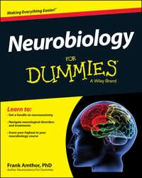 Neurobiology For Dummies, Frank  Amthor аудиокнига. ISDN28281723