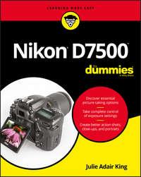 Nikon D7500 For Dummies - Julie King