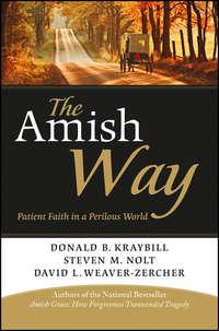 The Amish Way. Patient Faith in a Perilous World - Donald Kraybill