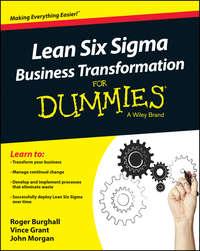 Lean Six Sigma Business Transformation For Dummies - John Morgan