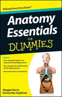 Anatomy Essentials For Dummies - Maggie Norris