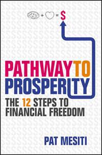 Pathway to Prosperity. The 12 Steps to Financial Freedom, Pat  Mesiti аудиокнига. ISDN28321683
