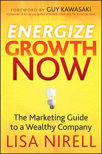 Energize Growth Now. The Marketing Guide to a Wealthy Company - Lisa Nirell