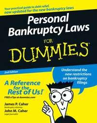 Personal Bankruptcy Laws For Dummies - James Caher