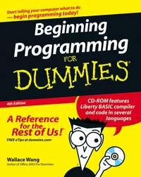 Beginning Programming For Dummies - Wallace Wang