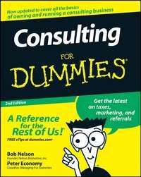 Consulting For Dummies - Peter Economy