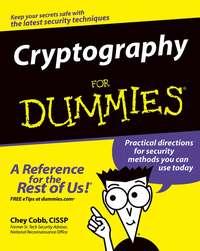 Cryptography For Dummies - Chey Cobb
