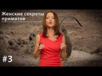 Женские секреты приматов - Евгения Тимонова