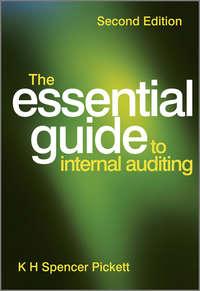 The Essential Guide to Internal Auditing - K. H. Spencer Pickett