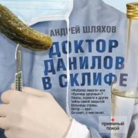 Доктор Данилов в Склифе - Андрей Шляхов