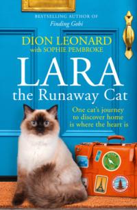 Lara The Runaway Cat: One cat’s journey to discover home is where the heart is, Sophie  Pembroke аудиокнига. ISDN39749561