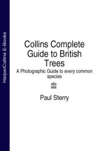 Collins Complete Guide to British Trees: A Photographic Guide to every common species - Paul Sterry