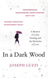 In a Dark Wood: What Dante Taught Me About Grief, Healing, and the Mysteries of Love - Joseph Luzzi