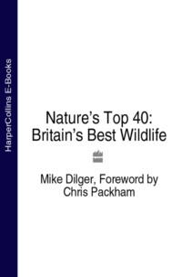 Nature’s Top 40: Britain’s Best Wildlife, Chris  Packham аудиокнига. ISDN39759745