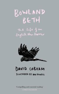 Bowland Beth: The Life of an English Hen Harrier, David  Cobham аудиокнига. ISDN39759929