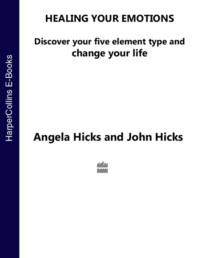 Healing Your Emotions: Discover your five element type and change your life - Angela Hicks