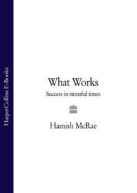 What Works: Success in Stressful Times - Hamish McRae