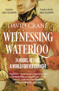 Witnessing Waterloo: 24 Hours, 48 Lives, A World Forever Changed, David  Crane аудиокнига. ISDN39769785
