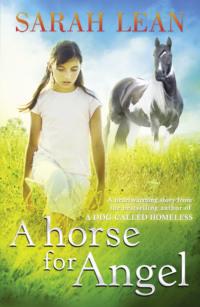 A HORSE FOR ANGEL - Sarah Lean