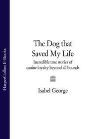 The Dog that Saved My Life: Incredible true stories of canine loyalty beyond all bounds - Isabel George