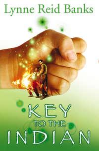 The Key to the Indian - Lynne Banks