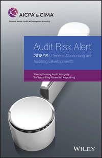 Audit Risk Alert: General Accounting and Auditing Developments 2018/19 - AICPA