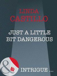 Just A Little Bit Dangerous, Linda  Castillo аудиокнига. ISDN39870096
