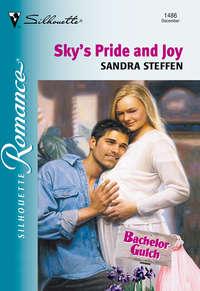 Skys Pride And Joy, Sandra  Steffen аудиокнига. ISDN39893802