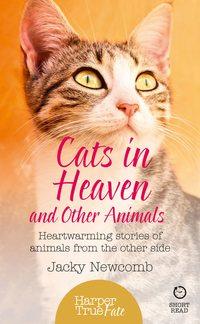 Cats in Heaven: And Other Animals. Heartwarming stories of animals from the other side., Jacky  Newcomb аудиокнига. ISDN42403046