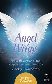 Angel Wings: True-life stories of the Angels that watch over us - Jacky Newcomb