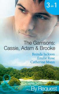 The Garrisons: Cassie, Adam & Brooke: Stranded with the Tempting Stranger - Brenda Jackson