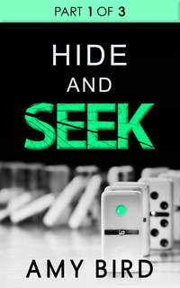Hide And Seek, Amy  Bird аудиокнига. ISDN42505807