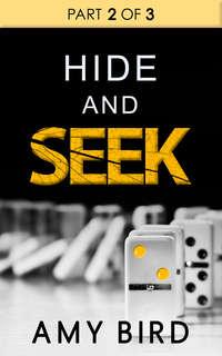 Hide And Seek, Amy  Bird аудиокнига. ISDN42505815