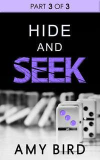 Hide And Seek, Amy  Bird аудиокнига. ISDN42505823