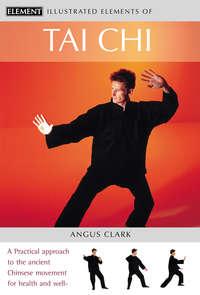 Tai Chi: A practical approach to the ancient Chinese movement for health and well-being - Angus Clark