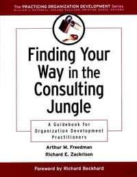 Finding Your Way in the Consulting Jungle - Arthur Freedman
