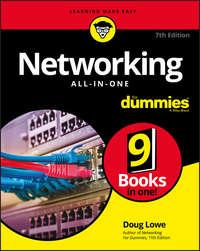 Networking All-in-One For Dummies,  аудиокнига. ISDN43494853