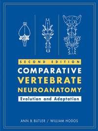 Comparative Vertebrate Neuroanatomy, William  Hodos аудиокнига. ISDN43515608