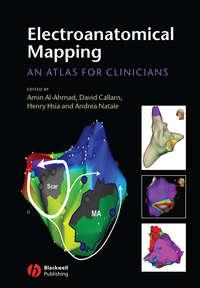 Electroanatomical Mapping, Andrea  Natale аудиокнига. ISDN43516000