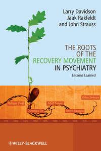 The Roots of the Recovery Movement in Psychiatry, John  Strauss аудиокнига. ISDN43518543