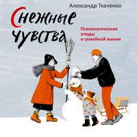 Снежные чувства, аудиокнига Александра Ткаченко. ISDN48694364