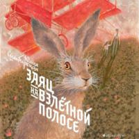 Заяц на взлётной полосе - Юлия Симбирская