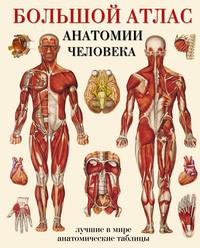 Большой атлас анатомии человека. Лучшие в мире анатомические таблицы, аудиокнига Коллектива авторов. ISDN55826737