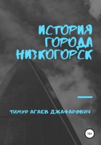 История города «Низкогорск», аудиокнига Тимура Джафаровича Агаева. ISDN62723587