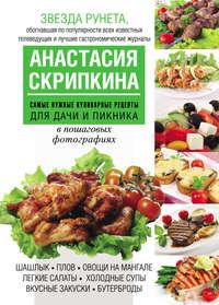 Самые нужные кулинарные рецепты для дачи и пикника, аудиокнига Анастасии Скрипкиной. ISDN6358448