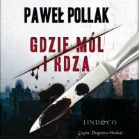 Gdzie mól i rdza, Paweł Pollak аудиокнига. ISDN63995831