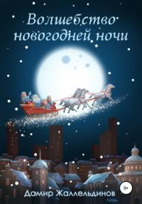 Волшебство новогодней ночи, аудиокнига Дамира Жаллельдинова. ISDN65450601