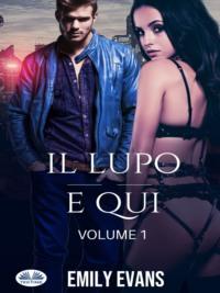 Il Lupo È Qui (Volume 1), Emily  Evans аудиокнига. ISDN66740788